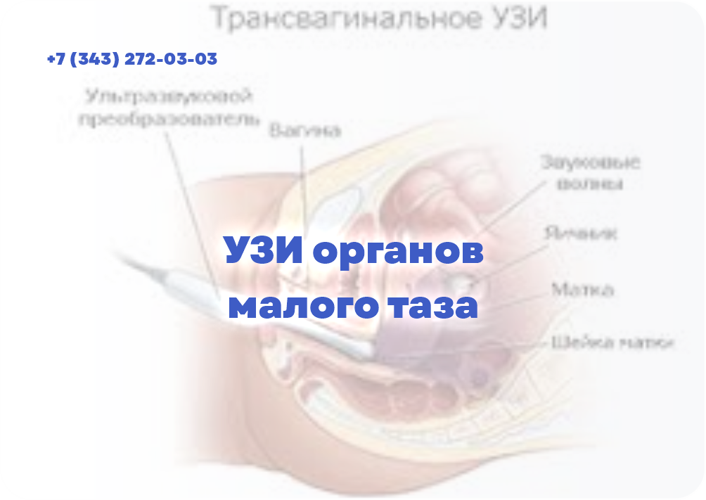 УЗИ органов малого таза